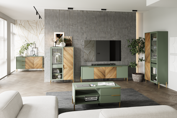 Шкаф-витрина с подсветкой Сиена/Siena REG1W1D